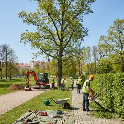 Kiemų, sklypų ir teritorijų valymas ir priežiūra